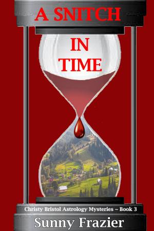 Cover of the book A Snitch in Time by Tonya Royston