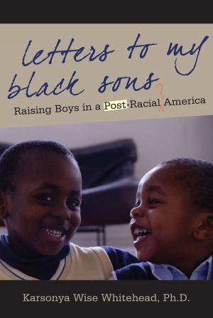 Cover of the book Letters to My Black Sons by Janice Rothschild Blumberg