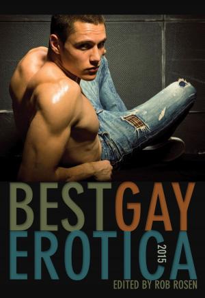Cover of the book Best Gay Erotica 2015 by Sacchi Green