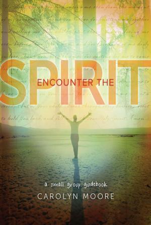 Cover of the book Encounter the Spirit by J. D. Walt