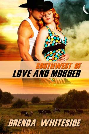Cover of the book Southwest of Love and Murder by Cynthia  Moore