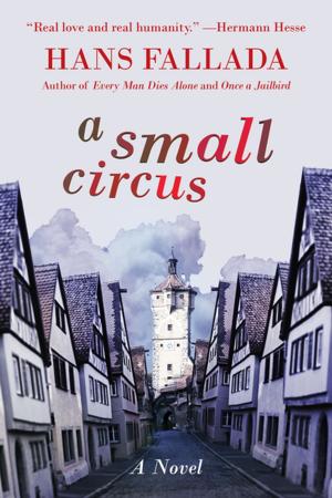 Cover of the book A Small Circus by Elva Thordis, Stranger Tom