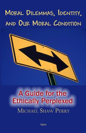 Book cover of Moral Dilemmas, Identity, and Our Moral Condition