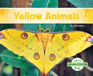 Cover of Yellow Animals