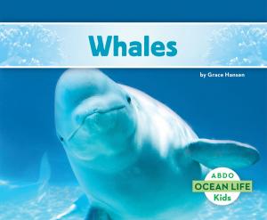 Cover of the book Whales by J. Manoa