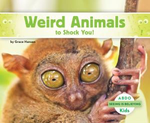Book cover of Weird Animals to Shock You!