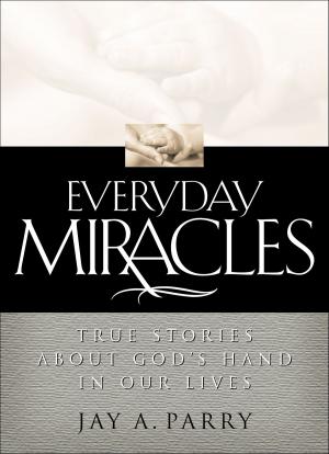 Cover of the book Everyday Miracles by John Bytheway