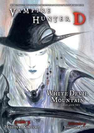 Book cover of Vampire Hunter D Volume 22