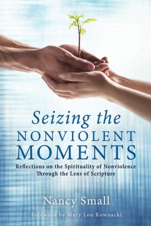 Cover of the book Seizing the Nonviolent Moments by Jeffrey L. Morrow
