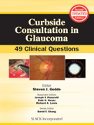 Cover of the book Curbside Consultation in Glaucoma by Douglas Adler