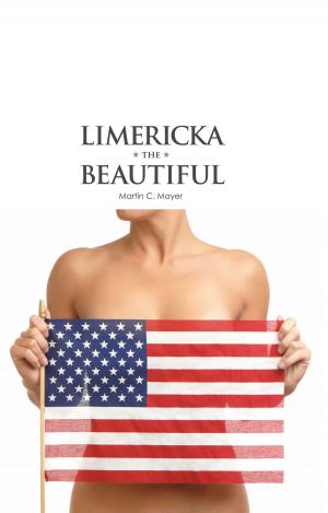 Cover of the book Limericka The Beautiful by Kit Palmer