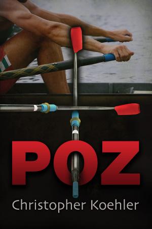 Cover of the book Poz by Rowena Sudbury