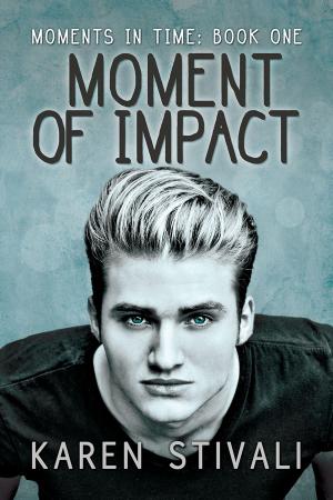 Cover of the book Moment of Impact by J.E. Birk