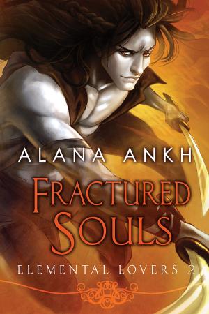 Cover of the book Fractured Souls by K.M. Frontain