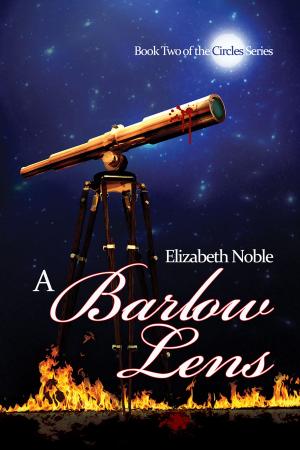 Cover of the book A Barlow Lens by Allison Cassatta