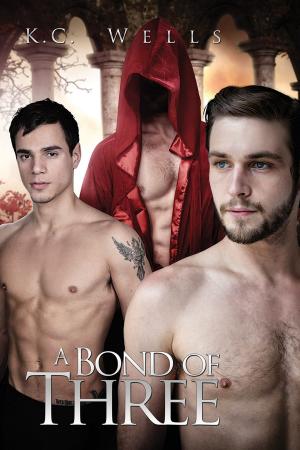 Cover of the book A Bond of Three by Aurora Peppermint