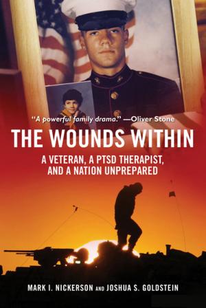 Cover of the book The Wounds Within by Lindsey Philpott