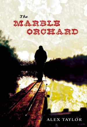 Cover of the book The Marble Orchard by Lila Perl