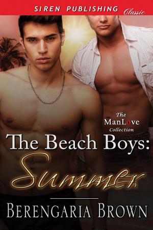 Book cover of The Beach Boys: Summer