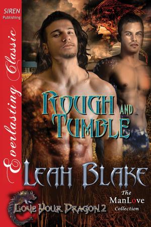 Cover of the book Rough and Tumble by Silke Ming