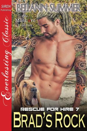 Cover of the book Brad's Rock by Cara Addison