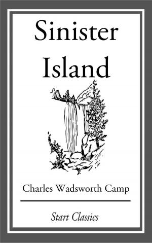 Book cover of Sinister Island