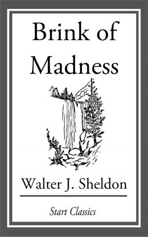 Book cover of Brink of Madness