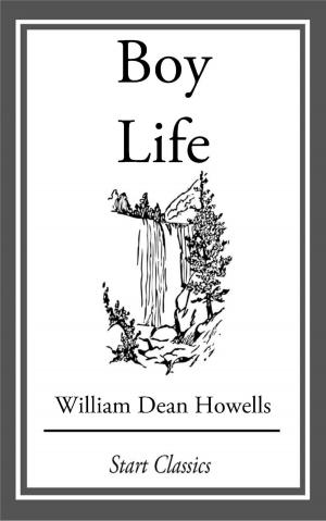 Cover of the book Boy Life by Hannah Graham