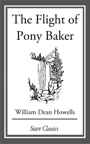 Book cover of The Flight of Pony Baker