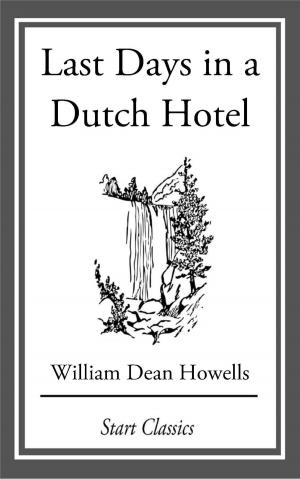 Book cover of Last Days in a Dutch Hotel