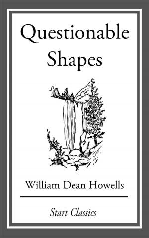 bigCover of the book Questionable Shapes by 