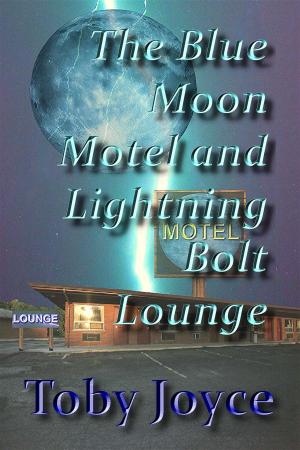 Cover of the book The Blue Moon Hotel and Lightning Bolt Lounge by Michele Wallace Campanelli