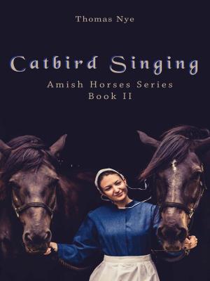 Cover of the book Catbird Singing by David Dailey