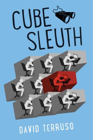 Cover of the book Cube Sleuth by Susan Shultz