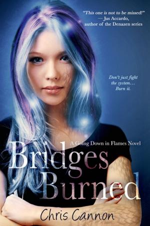 Cover of the book Bridges Burned by Elizabeth Bright