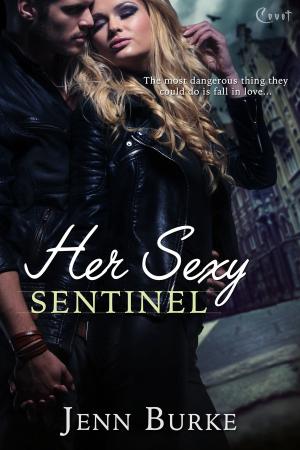 Cover of the book Her Sexy Sentinel by Wendy Sparrow