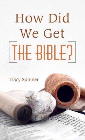 Cover of the book How Did We Get the Bible? by Connie Stevens