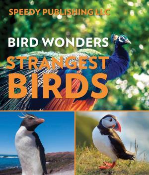 Cover of Bird Wonders - Strangest Birds