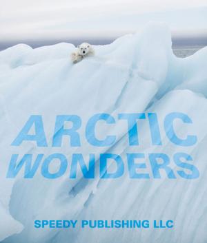 Cover of the book Arctic Wonders by Third Cousins, Kacey Lu