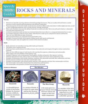 Book cover of Rocks and Minerals (Speedy Study Guide)
