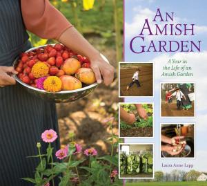 Cover of the book Amish Garden by David Brubaker