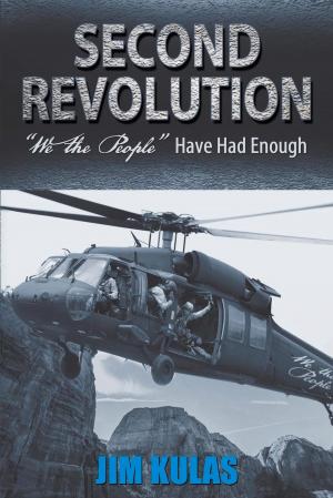 Cover of the book Second Revolution by Christopher Jerry, Joni James Aldrich