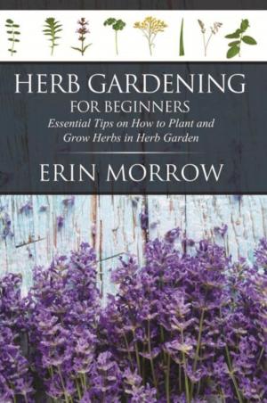 Book cover of Herb Gardening For Beginners