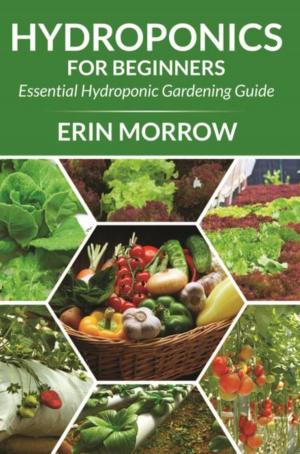 Book cover of Hydroponics For Beginners
