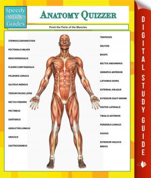 Cover of the book Anatomy Quizzer (Speedy Study Guides) by Speedy Publishing