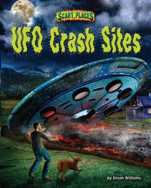 Book cover of UFO Crash Sites