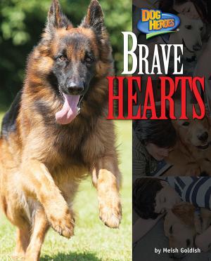 Cover of the book Brave Hearts by Joyce Markovics