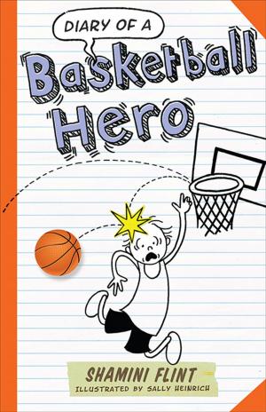 Book cover of Diary of a Basketball Hero