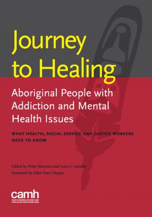 Cover of the book Journey to Healing by CAMH, Motherrisk