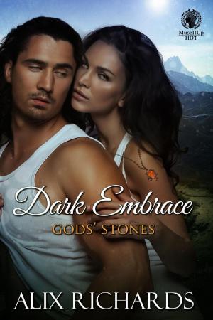 Cover of the book Dark Embrace by Julie Eberhart Painter